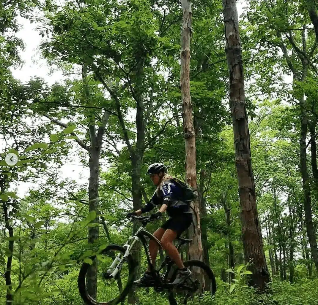 Brief MTB