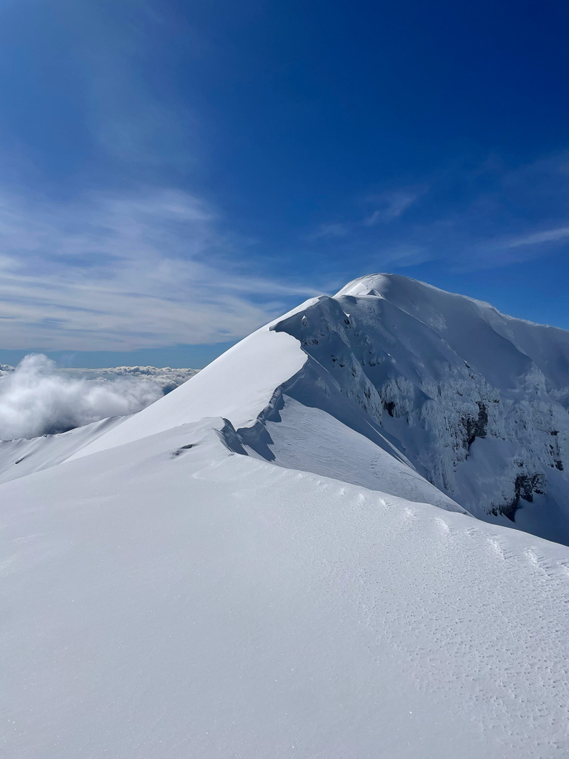 Brief Ski Alp